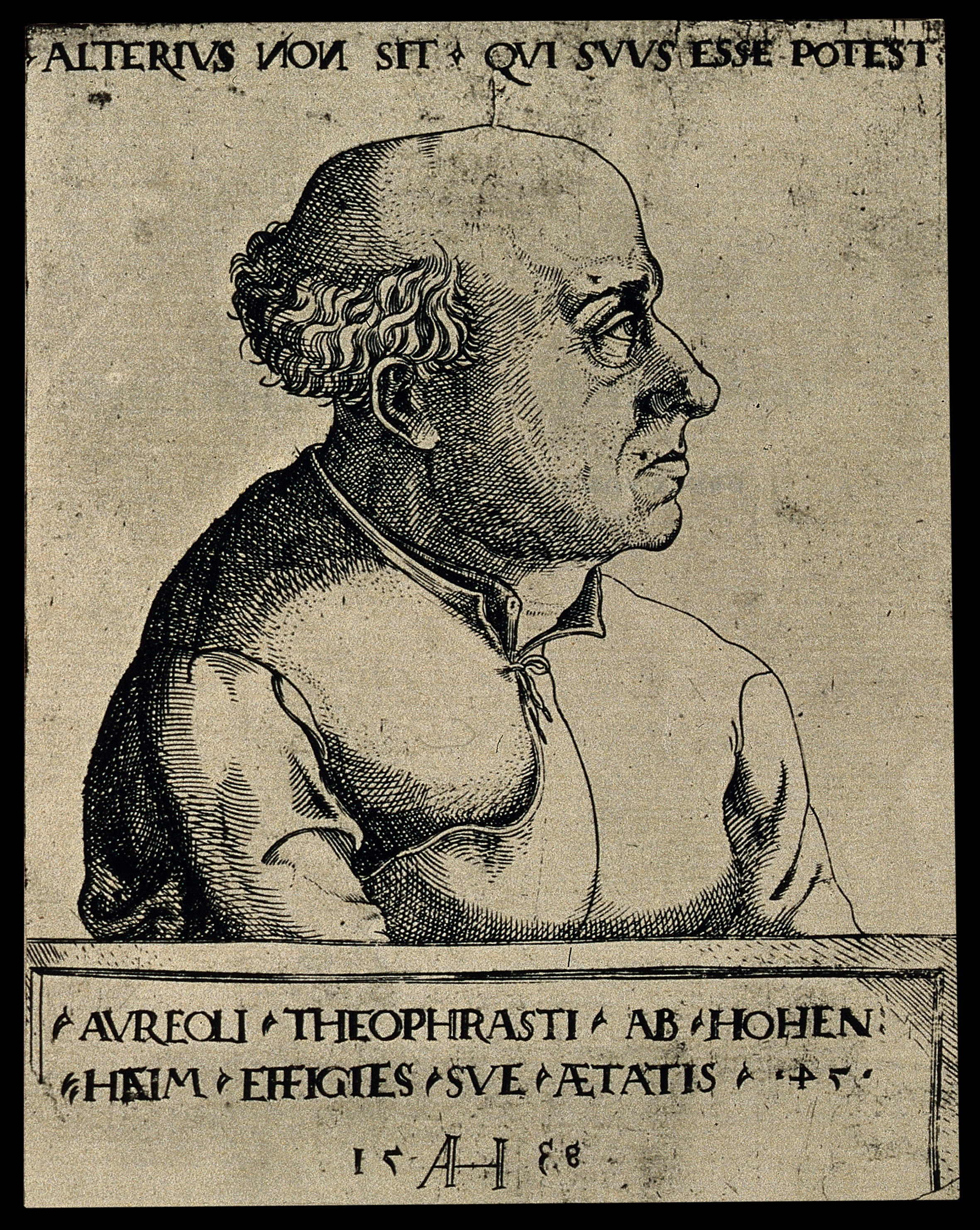 1538 portrait by [[Augustin Hirschvogel]]