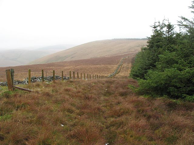 File:Brawns Dod from Capilus Hill - geograph.org.uk - 630777.jpg