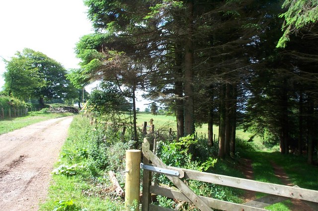 File:Bridleway near Dun's Stone - geograph.org.uk - 198250.jpg