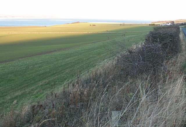 File:By Logie Farm - geograph.org.uk - 371978.jpg