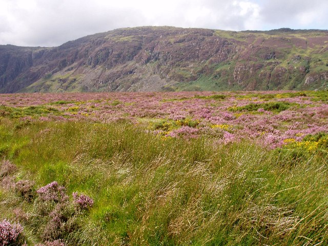 File:Clogwyn yr Eryr - geograph.org.uk - 61028.jpg