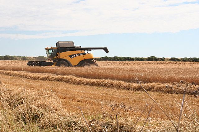 File:Combine Harvester in Action - geograph.org.uk - 5096129.jpg