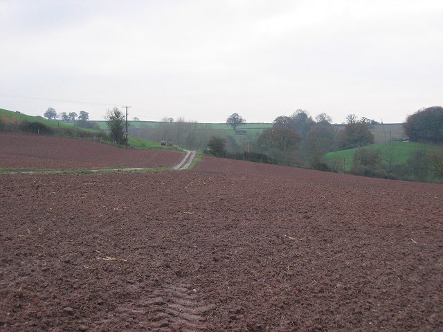 File:Down from the hill, Birchley. - geograph.org.uk - 88860.jpg