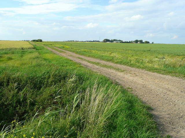 File:Drove on White Fen - geograph.org.uk - 892295.jpg