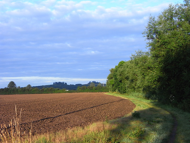 File:Farmland, Dorchester - geograph.org.uk - 1589608.jpg