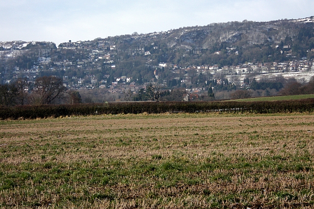 File:Field of stubble - geograph.org.uk - 1159746.jpg