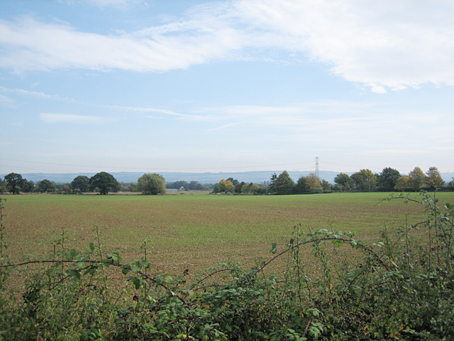 File:Fields near Ashton-Under-Hill - geograph.org.uk - 63710.jpg