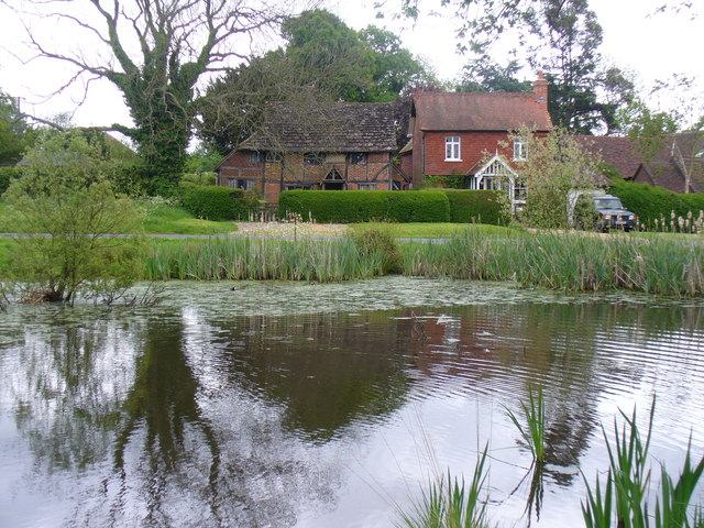 File:Forest Green Pond - geograph.org.uk - 1294663.jpg