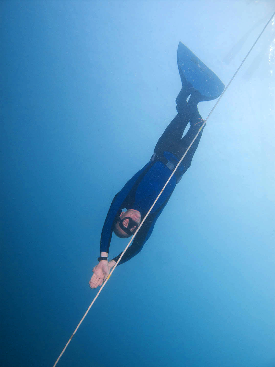 Category:Freediving - Wikimedia Commons