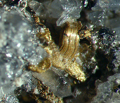 File:Gold-Sylvanite-282521.jpg