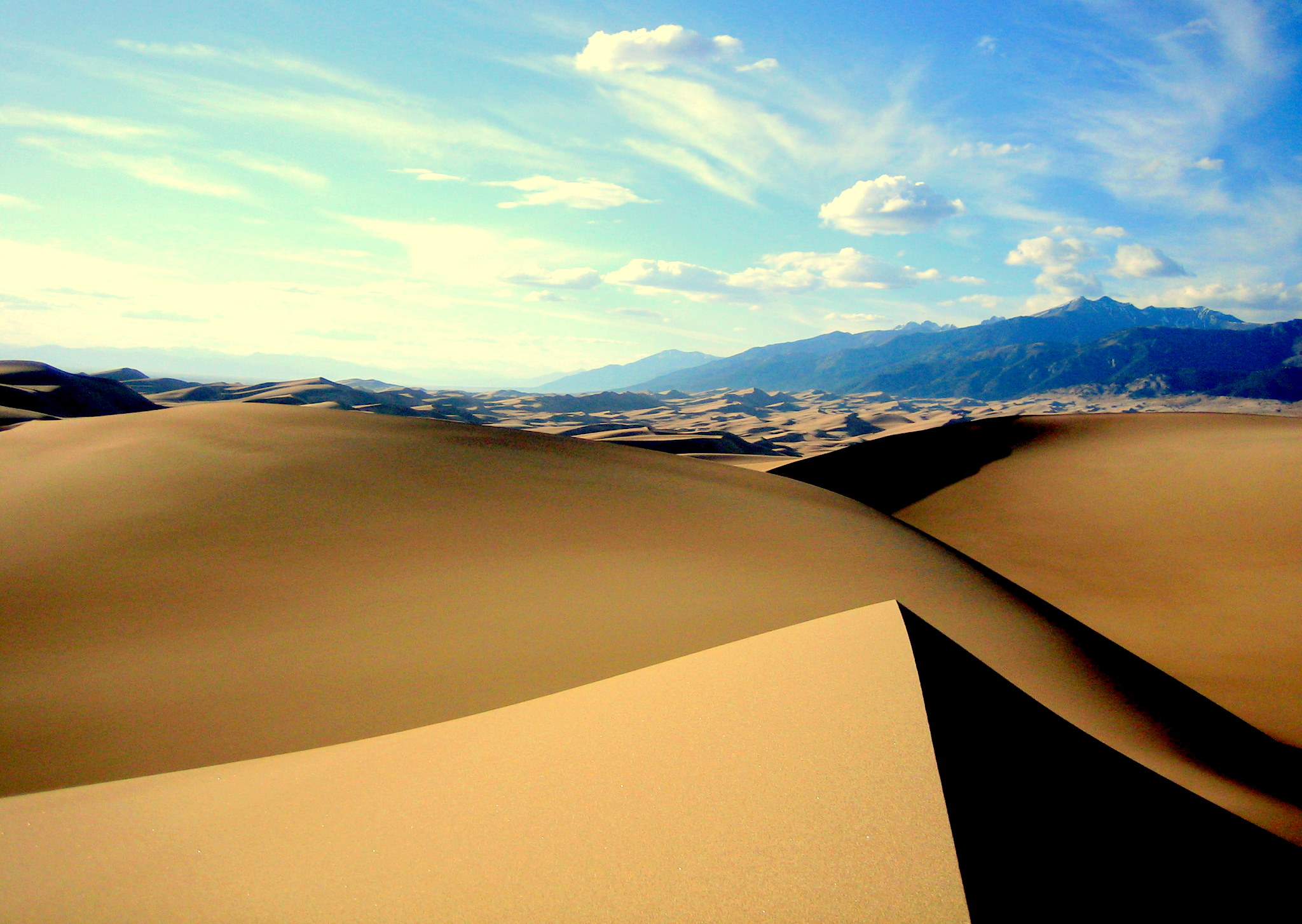 are dogs allowed at great sand dunes national park