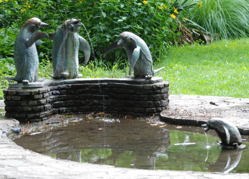 File:GuentherZ 2009-07-08 0525 Wien Stadtpark Vogeltraenke.jpg