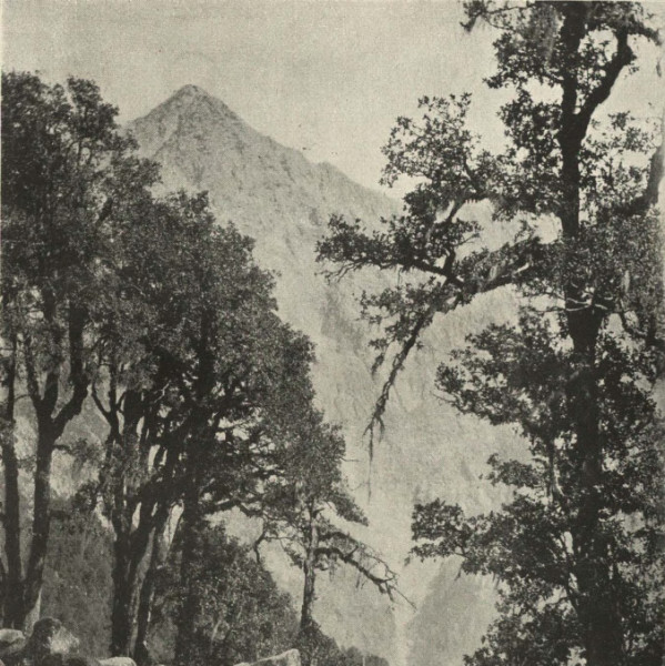 File:Himalayan Scenery, Dharamsala.jpg