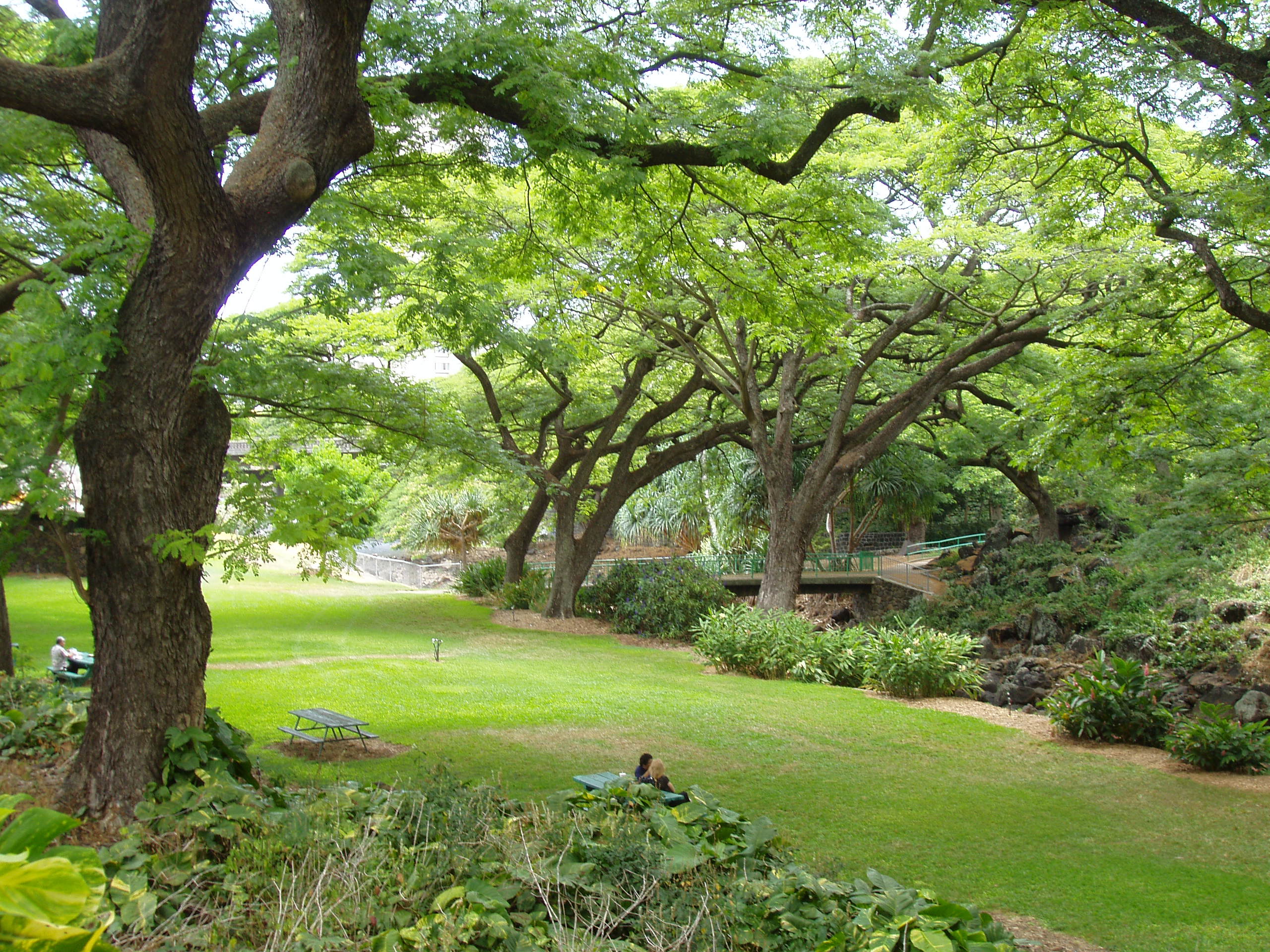 Photo of Lili'uokalani Botanical Garden