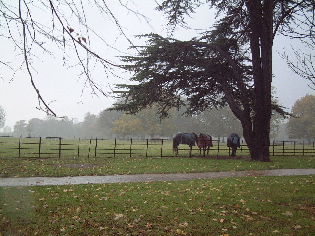 Osterley Park - geograph.org.uk - 86321