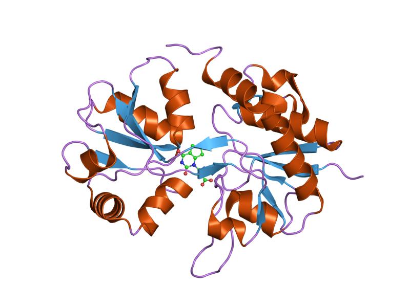 File:PDB 1syh EBI.jpg