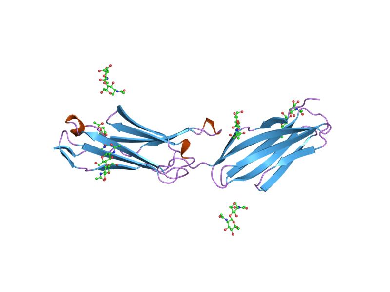 File:PDB 1zxq EBI.jpg