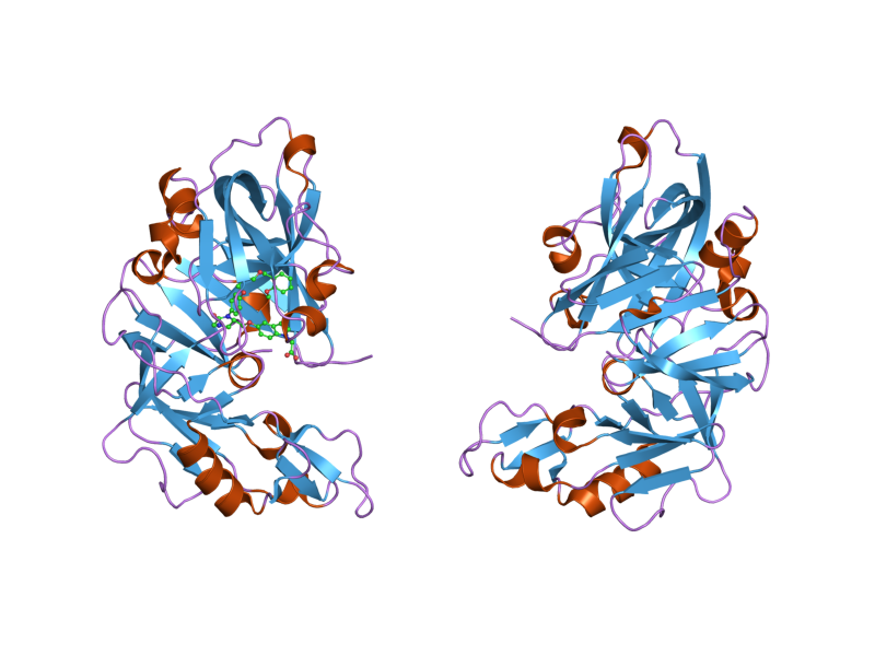 File:PDB 2g26 EBI.png