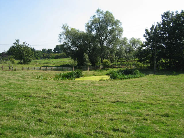 File:Pond at Pipewell - geograph.org.uk - 1831822.jpg