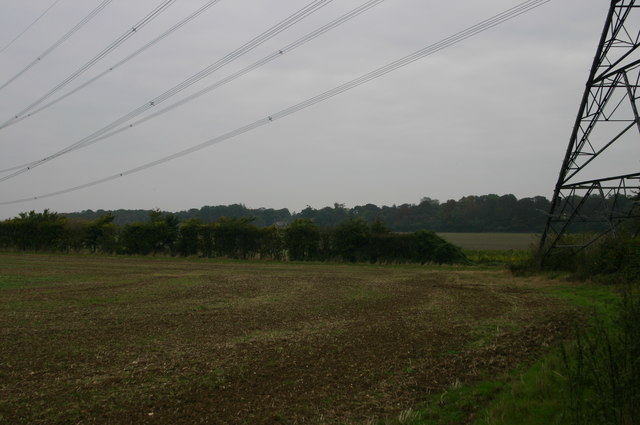 File:Pylons heading to Eastwick Hall Lane - geograph.org.uk - 720234.jpg