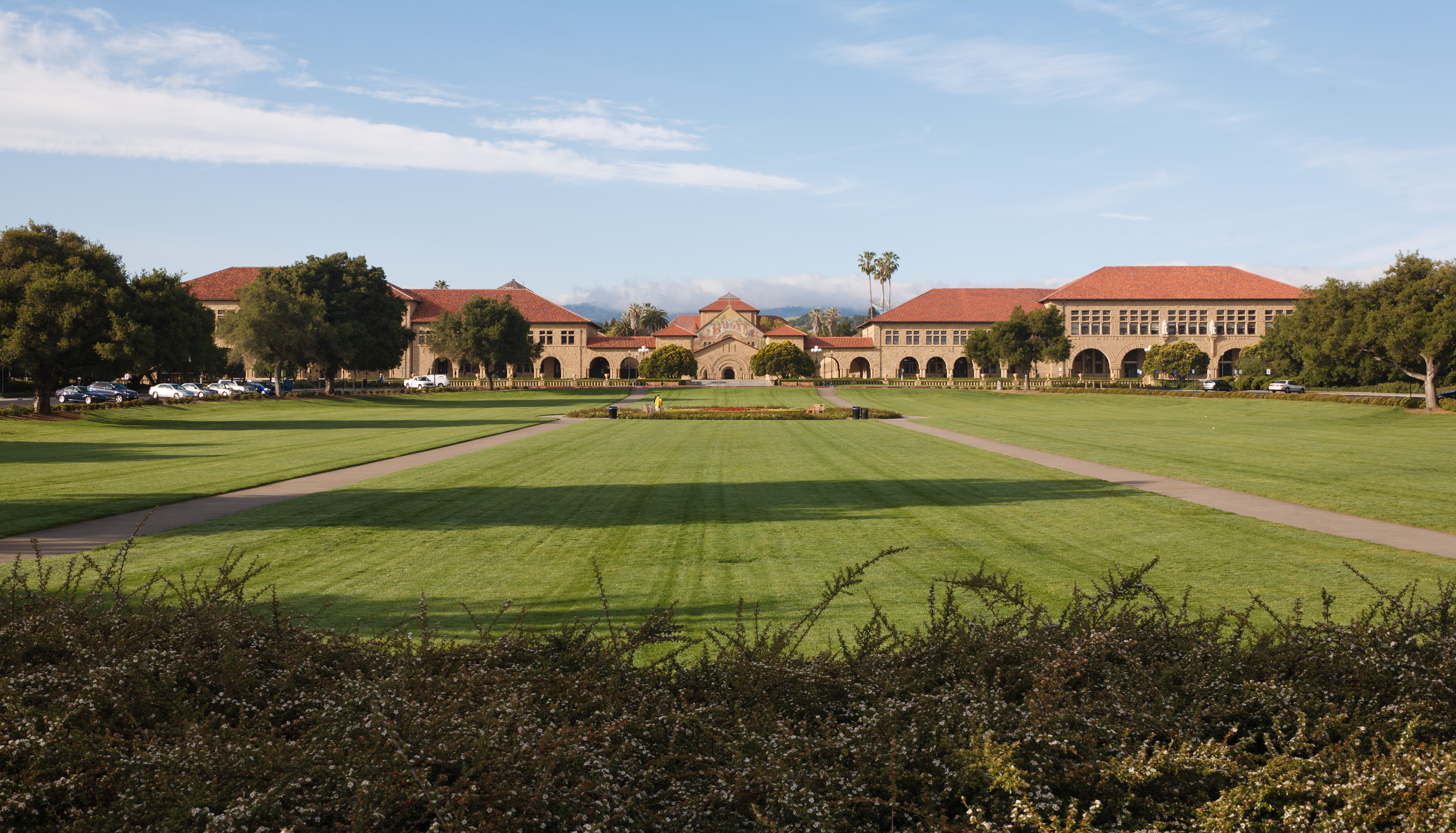 Stanford University Wikipedia