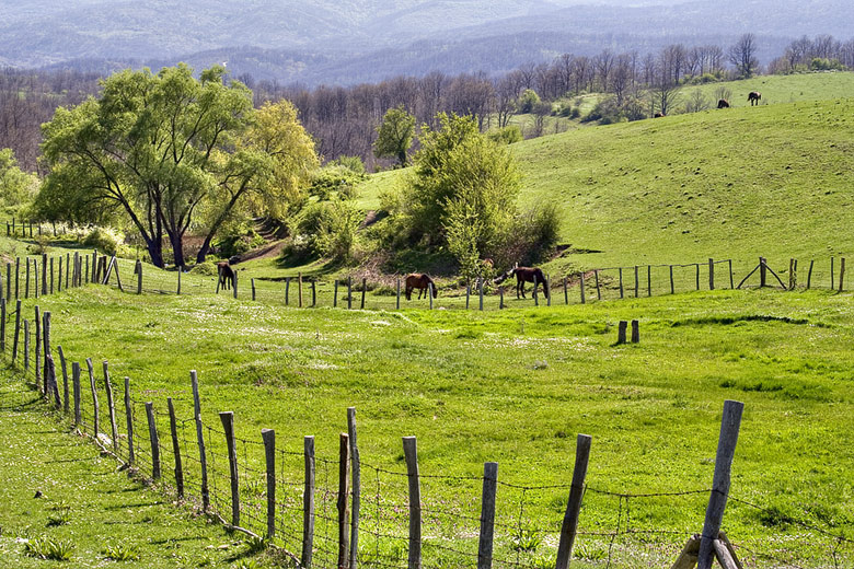 File:Strandzha-dinev.jpg