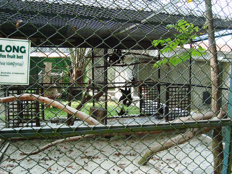 File:Taman Hewan Pematang Siantar (32).JPG - Wikimedia Commons