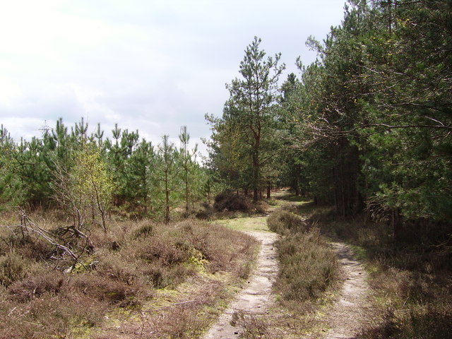 Bramshill SSSI