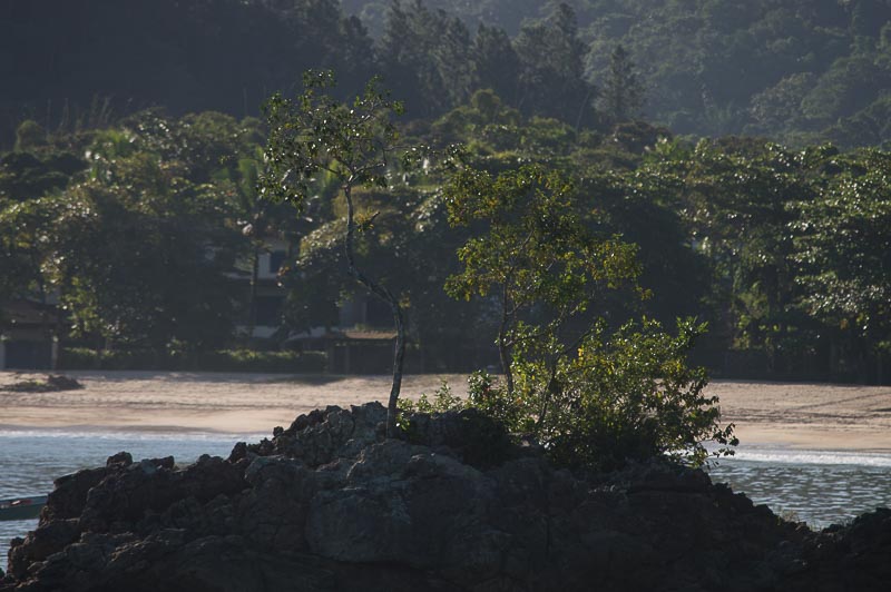 File:Trilha-da-praia-da-santa-rita-ubatuba-180522-007.jpg