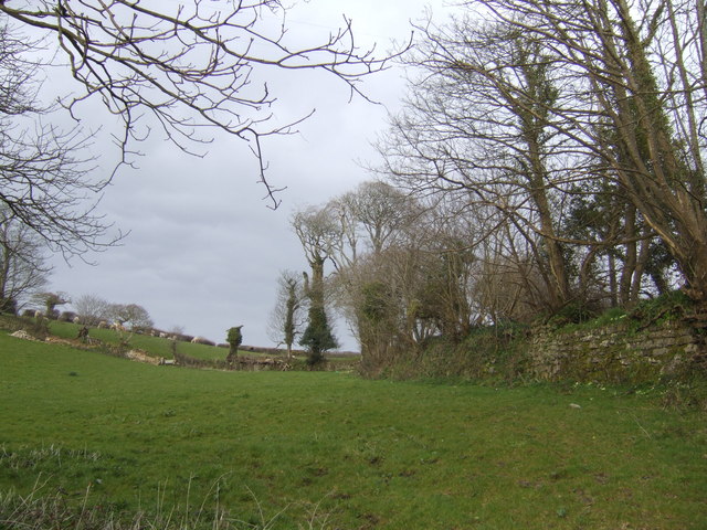 File:View north of Lower Tregarne - geograph.org.uk - 371001.jpg