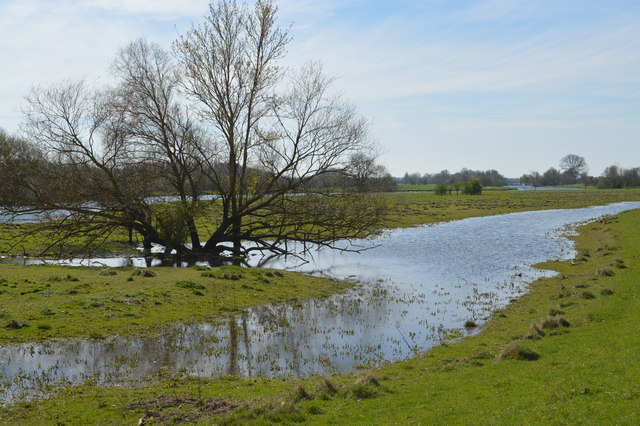 File:Washlands by the River Great Ouse - geograph.org.uk - 5433341.jpg