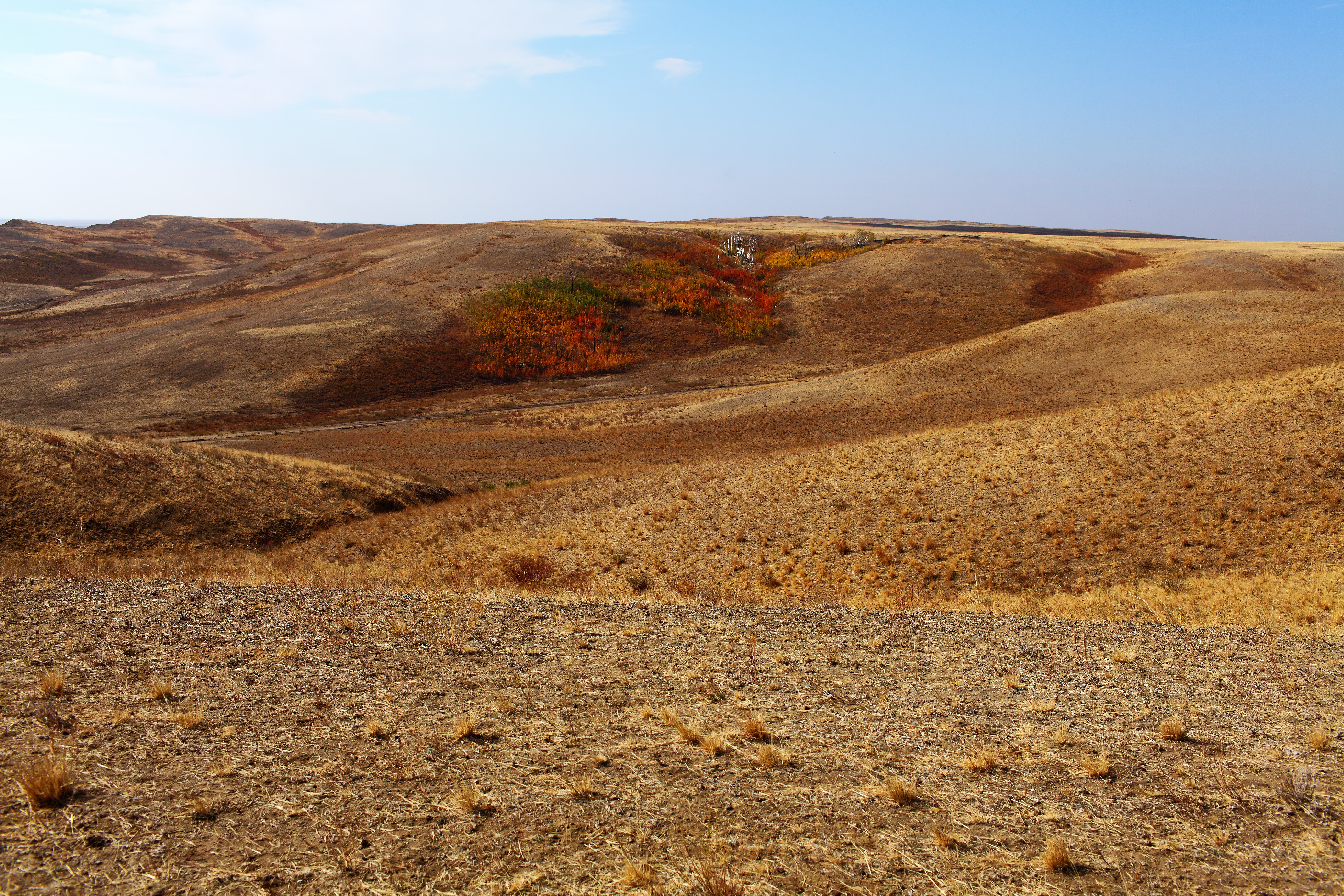 Пустынные места соль Илецкого района