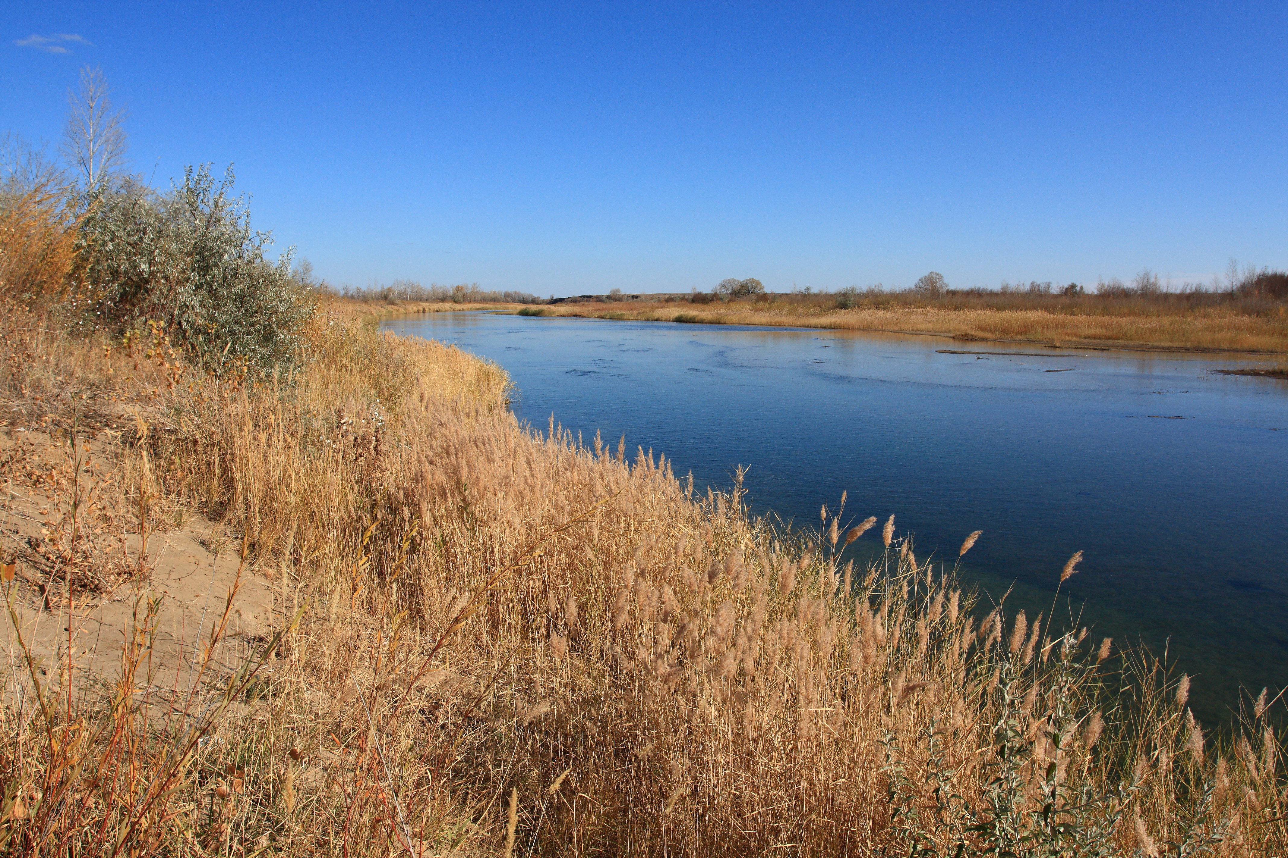 Вода пришла в илек