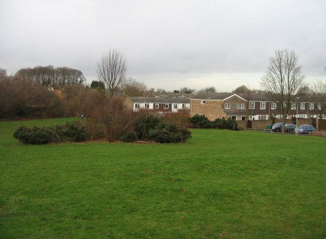 File:A little greenspace - geograph.org.uk - 650483.jpg