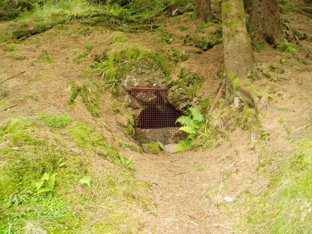 File:Adit alongside the Old Edinburgh Road. - geograph.org.uk - 514808.jpg