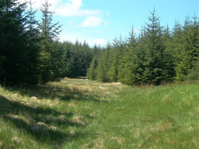 File:Along The Burn - geograph.org.uk - 820146.jpg