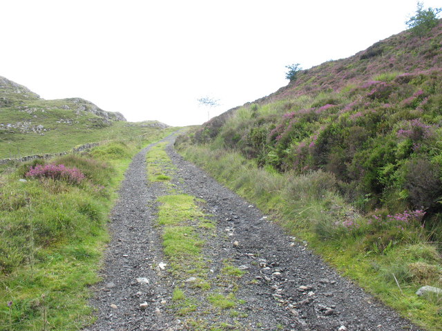 File:Approaching the summit of Bwlch Goriwaered - geograph.org.uk - 724258.jpg