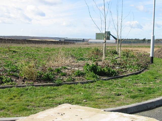 File:As yet undeveloped land at the Lakesview International Business Park - geograph.org.uk - 369386.jpg