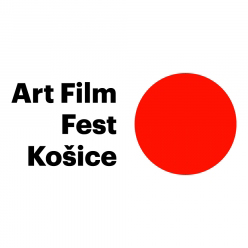 Art Film Fest Wikipedia