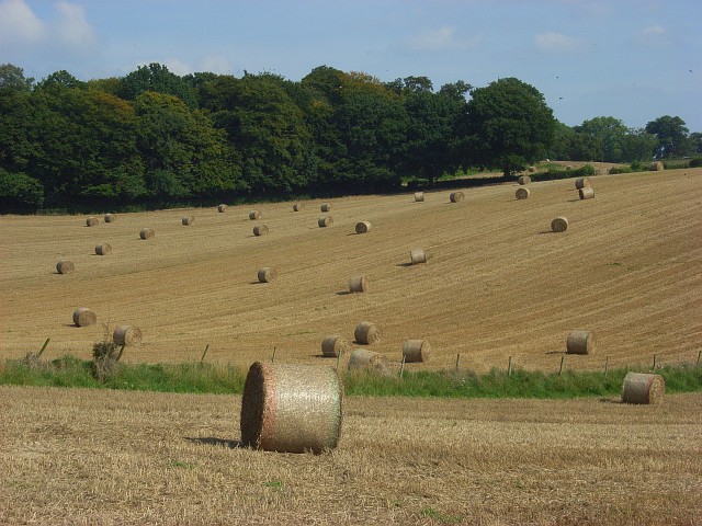 Bales, Lane End - geograph.org.uk - 988489