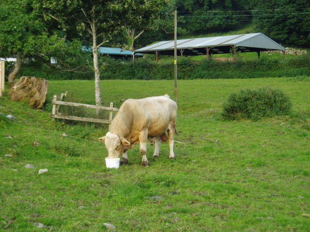 File:Beef dinner at Low Creoch, Gatehouse of Fleet. - geograph.org.uk - 532194.jpg