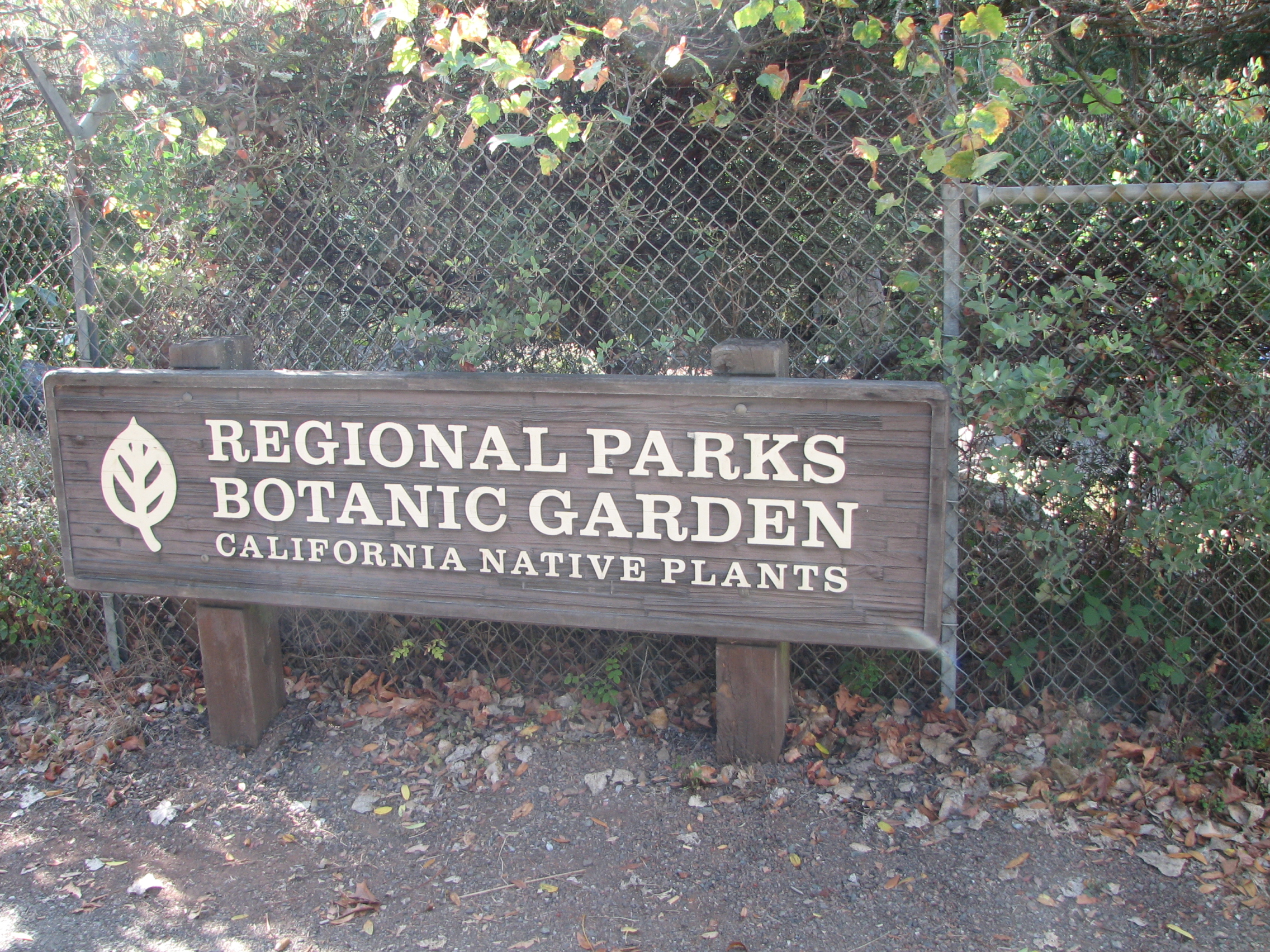 File Botanical Garden At Tilden Park Berkeley Jpg Wikimedia Commons