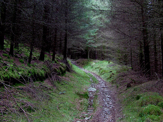 File:Bridleway from Abergwesyn descending into Cwm Tywi, Powys - geograph.org.uk - 1528875.jpg