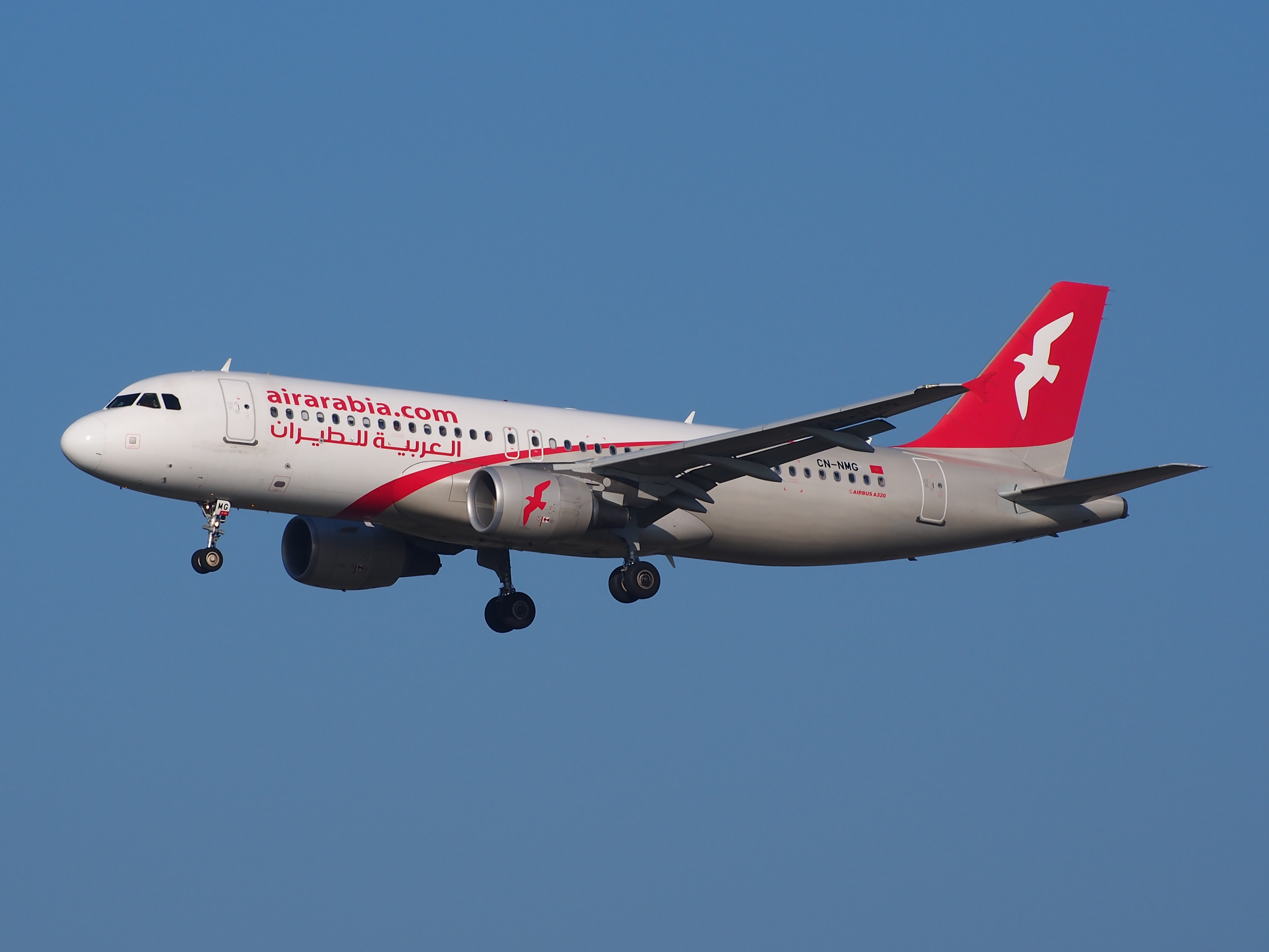 Air arabia сайт на русском. Airbus a320 аэр Арабия. A320‑100 Air Arabia. Airbus a320-214 Болгария Эйр. AIRARABIA a320 в Кольцово.