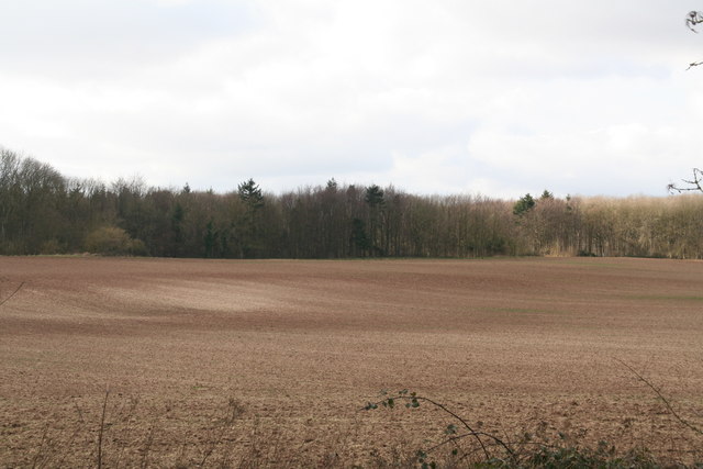 File:Chalky field and Burwell Wood - geograph.org.uk - 3857751.jpg