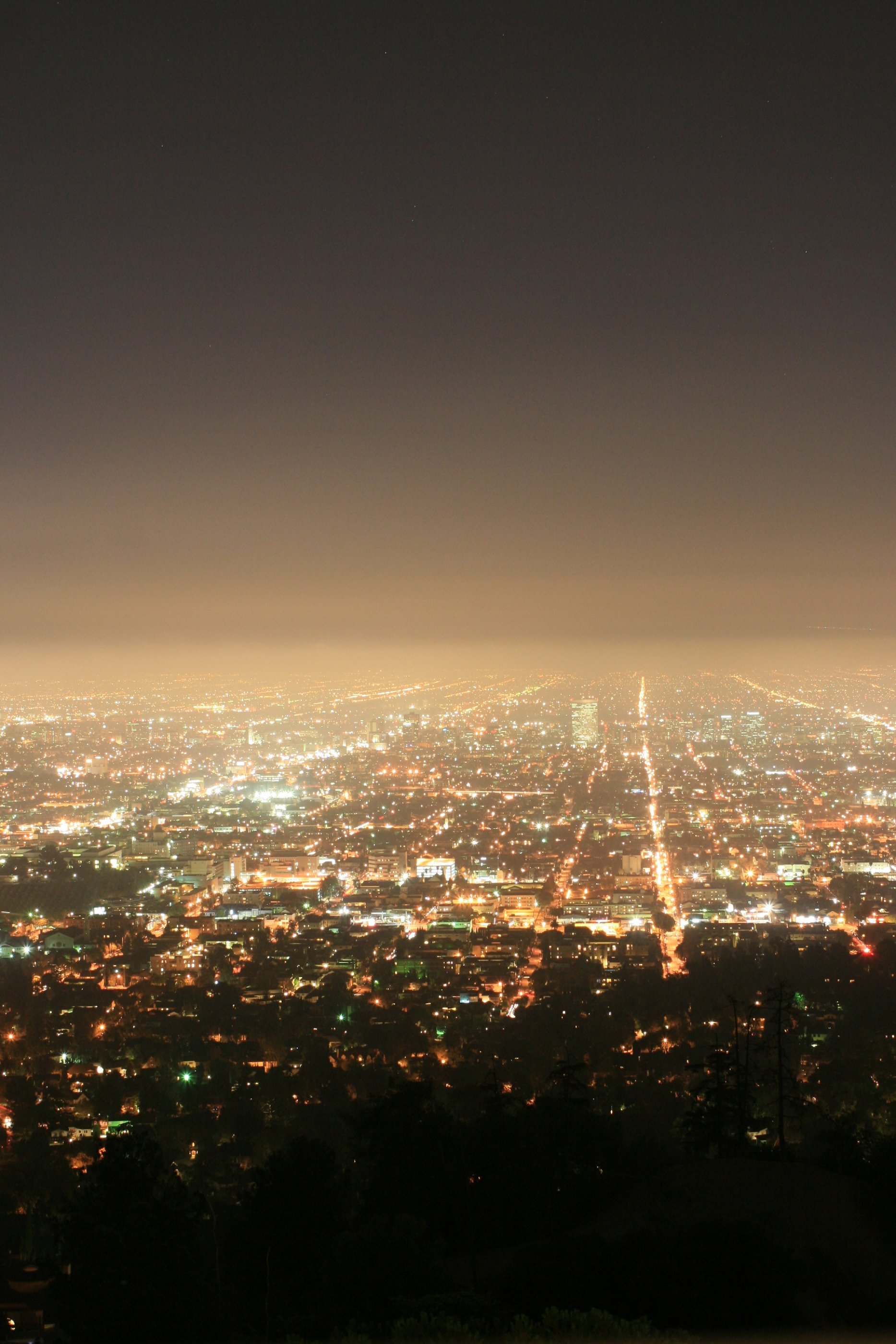 File:City Lights at Night.jpg -