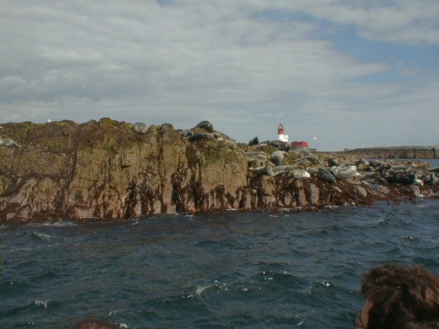 File:Clove Car - geograph.org.uk - 810581.jpg