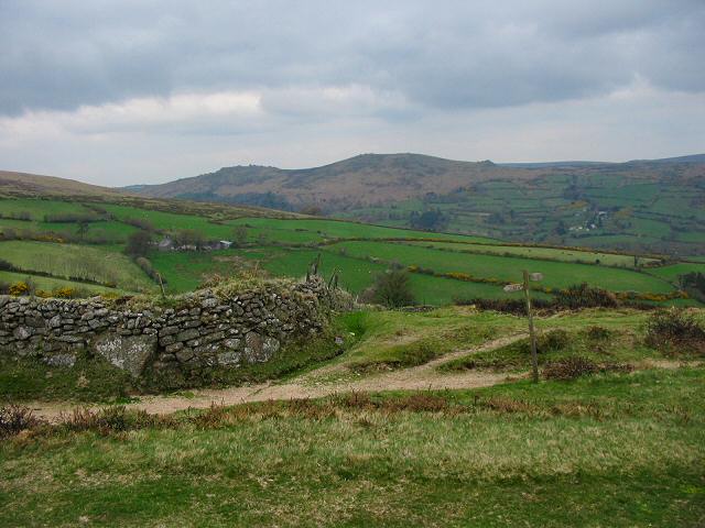 File:Combe - NW of Widecombe, Dartmoor - geograph.org.uk - 164822.jpg
