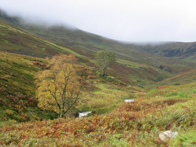 File:Cramalt Burn - geograph.org.uk - 8985.jpg