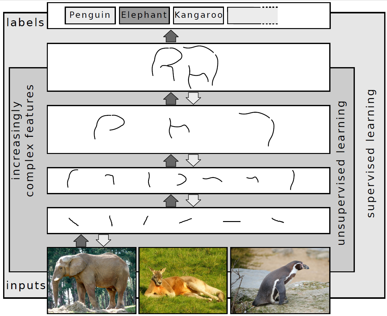 Neural Network using a combination of supervised and unsupervised learning to label objects on an image